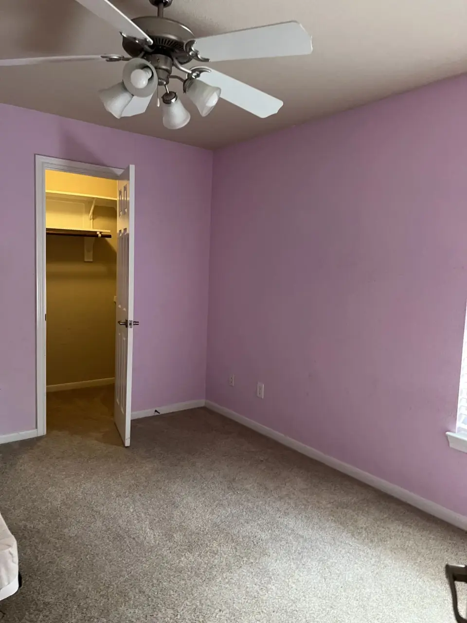 Freshly painted bedroom in a soft pink tone with a ceiling fan and an open closet doorway